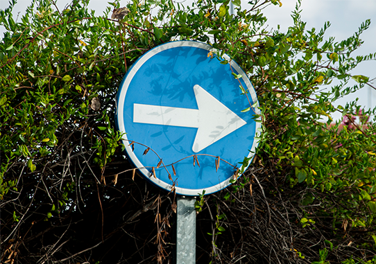 A circular blue road sign with a white arrow pointing right, sitting amidst greenery. It signifies the next steps a learner can take with the help of the SCQF.