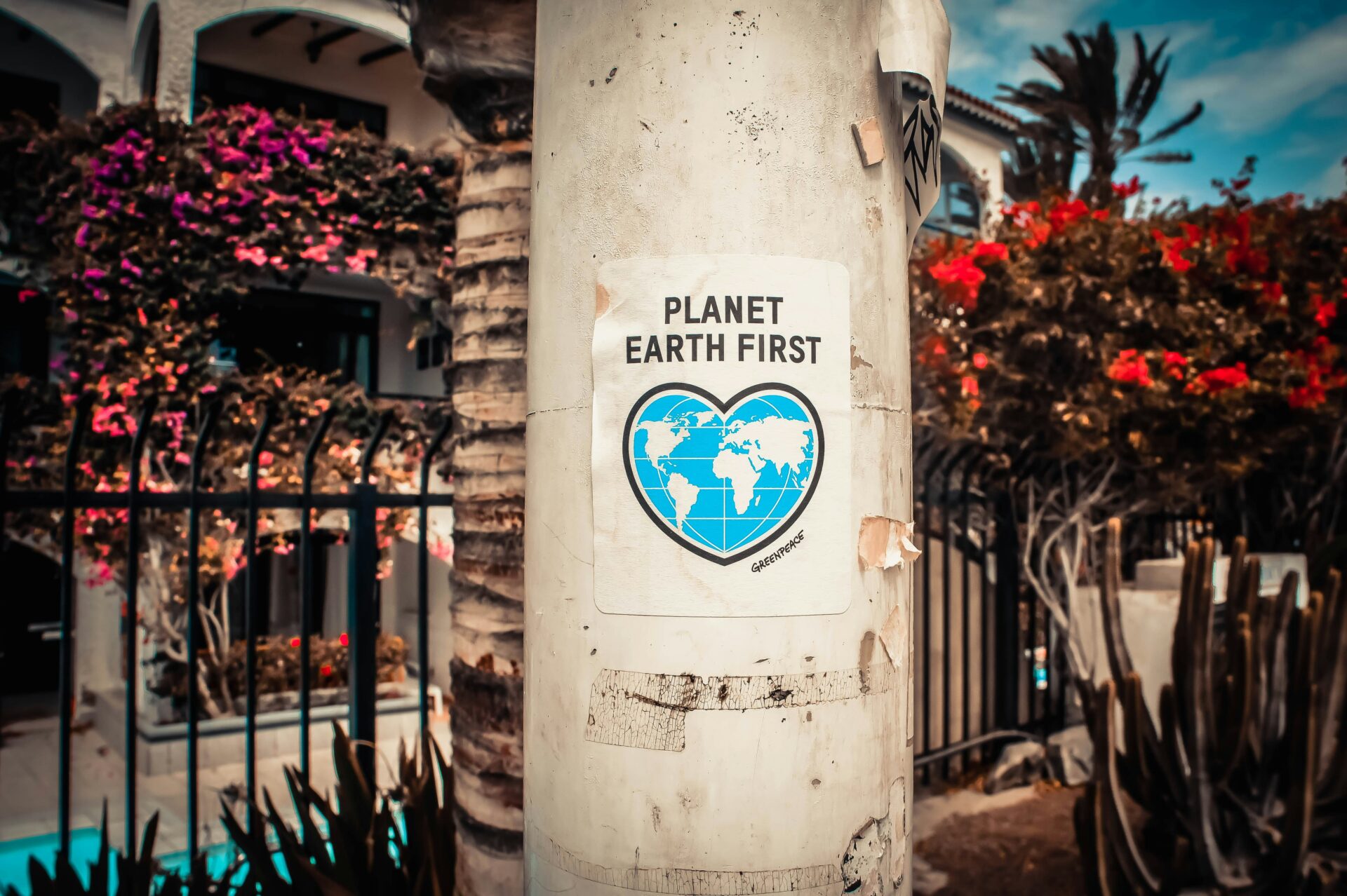A lamppost with a sticker attached that reads: Planet Earth first