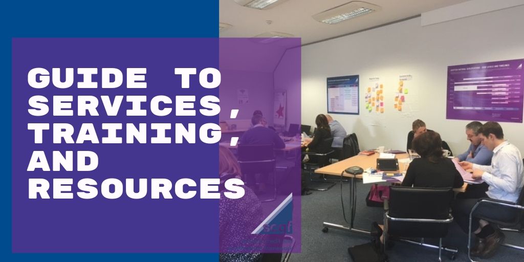 Delegates at SCQFP workshop with text overlaid to promote guide to services